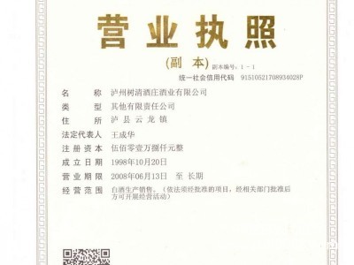 执照