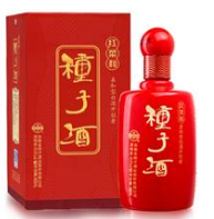 安徽金种子集团有限公司