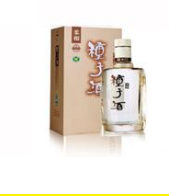 安徽金种子（集团）有限公司