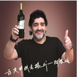 北京众拓必亨国际贸易有限公司