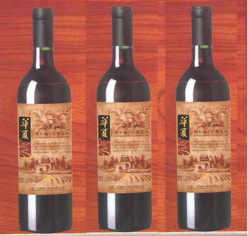 山东定陶盛元果酒有限公司