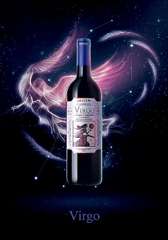 广州星座酒业贸易有限公司