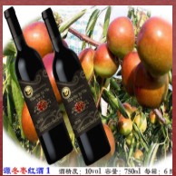 吉林省百家好酒业有限公司