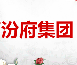 山西汾府集团