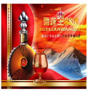 中国新疆雪莲谷集团