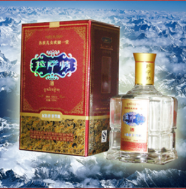西藏拉萨情科技开发有限公司