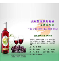 山东全筑酒业有限公司(麦咖伦预调鸡尾酒)