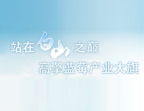 吉林省长白高山越桔酒有限公司