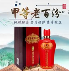 山西醉仙醇酒业有限公司