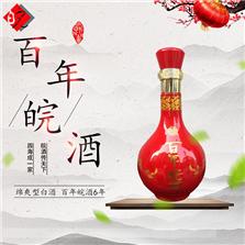安徽皖酒集团皖赢天下营销有限公司合肥分公司