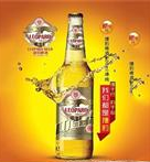 湖南捷豹酿造科技有限公司