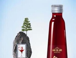 深圳市瑞生源杨梅酒业有限公司