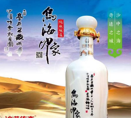 内蒙古沙漠传奇酒业有限公司