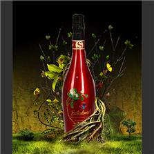 森德兰葡萄酒集团（中国）有限公司