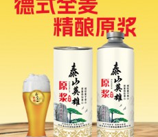 中华啤酒集团
