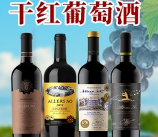 厦门全鑫盛酒业进出口有限公司