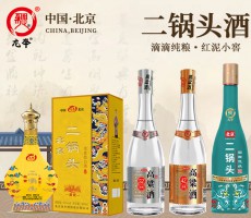 北京龙举酒业有限公司