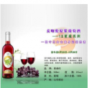 山东全筑酒业有限公司(麦咖伦预调鸡尾酒)